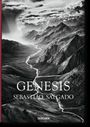 Lelia Wanick Salgado: Genesis, Buch