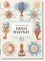 Rainer Willmann: Ernst Haeckel. Kunst und Wissenschaft. 40th Ed., Buch