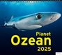 : Kalender Planet Ozean 2025, KAL