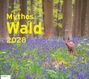 Text: Mythos Wald 2028. Ein Reh steht in einem lila Blumenteppich, umgeben von hohen Bäumen.