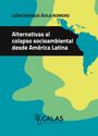 León Enrique Ávila Romero: Alternativas al colapso socioambiental desde América Latina, Buch