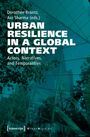 Urban Resilience in a Global Context, Buch