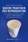 Sarah Charlotte Dionisius: Queere Praktiken der Reproduktion, Buch