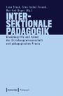 Intersektionale Pädagogik, Buch