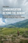 Anne Goletz: Communication Beyond the Human, Buch
