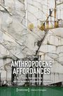 Lena Pfeifer: Anthropocene Affordances, Buch