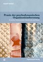 Rudolf Heltzel: Praxis der psychodynamischen Organisationsberatung, Buch