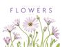 Mandy Disher: Flowers - Mandy Disher - Kalender 2024, KAL