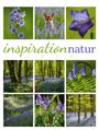 : Inspiration Natur Kalender 2024, KAL