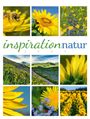 Ackermann Kunstverlag GmbH: Inspiration Natur Kalender 2027, KAL