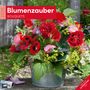 Ackermann Kunstverlag: Blumenzauber Kalender 2025 - 30x30, KAL