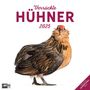 Ackermann Kunstverlag: Verrückte Hühner Kalender 2025 - 30x30, KAL