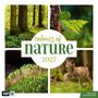 Ackermann Kunstverlag GmbH: Colours of Nature Kalender 2027 - 30x30 - Art12, KAL