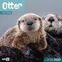 Ackermann Kunstverlag GmbH: Otter Kalender 2027 - 30x30 - Art12, KAL