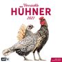 Ackermann Kunstverlag GmbH: Verrückte Hühner Kalender 2027 - 30x30 - Art12, KAL