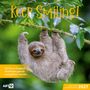 Ackermann Kunstverlag GmbH: Keep Smiling Kalender 2027 - 30x30 - Art12, KAL