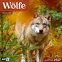 Text: "Wölfe", "Wolves", "Inklusive Jahresplaner 2027". Ein Wolf schaut zwischen grünem Laub direkt nach vorne.