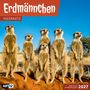 "Erdmännchen" und "2027" sind prominent. Fünf Erdmännchen stehen aufmerksam auf rotem Sand vor klarem Himmel.