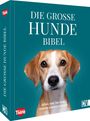 Stefan Lara Torres: Die große Hundebibel, Buch