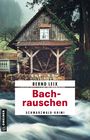 Bernd Leix: Bachrauschen, Buch