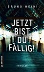 Bruno Heini: Jetzt bist du fällig!, Buch