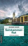 Dagmar Hager: Salzkammerflut, Buch