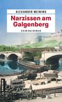 Alexander Meining: Narzissen am Galgenberg, Buch