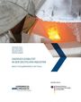 "Energieflexibilität in der deutschen Industrie. Band 3: Energieflexibilität in der Praxis." Logos: "Kopernikus Projekte" und "Bundesministerium".