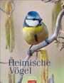 : Heimische Vögel Kalender 2025, KAL