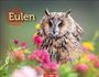 Text: “Eulen 2027”. Eine Eule sitzt zwischen bunten Blumen. Unten steht „WEINGARTEN“ auf rotem Hintergrund.