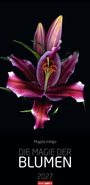 Die Magie der Blumen Kalender 2027, KAL