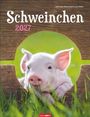 „Schweinchen 2027“ in weiß und pink. Junges Schwein schaut durch Holzöffnung ins Grüne. Logo „Weingarten“ unten.