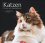 "Katzen: Diven auf Samtpfoten. 'In alten Zeiten wurden Katzen als Götter verehrt.' Terry Pratchett. Jahr: 2027."