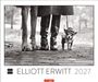 Text: "ELLIOTT ERWITT 2027". Ein Hund mit Hut und Pullover neben großen Stiefeln und einem großen Hund auf einem Weg.