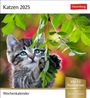 : Katzen Postkartenkalender 2025 - Wochenkalender mit 53 Postkarten, KAL