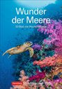Markus Hattstein: Wunder der Meere Wochenplaner 2025 - 53 Blatt mit Wochenchronik, KAL