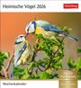 : Heimische Vögel Postkartenkalender 2026 - Wochenkalender mit 53 Postkarten, KAL