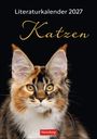 „Literaturkalender 2027 Katzen“. Eine Katze mit buschigem Fell und großen Ohren auf schwarzem Hintergrund. "Harenberg" in Rot.