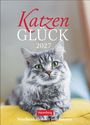 „Katzen Glück 2027. Wochenkalender mit Zitaten.“ Eine graue Katze mit grünen Augen liegt auf einem gelben Kissen.