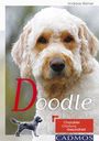 Werner Andreas: Doodle, Buch