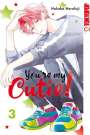 Nakaba Harufuji: You're My Cutie! 03, Buch