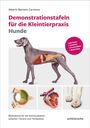 Alberto Berneto Carmona: Demonstrationstafeln für die Kleintierpraxis Hunde, Buch