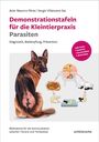 Sergio Villanueva Saz: Demonstrationstafeln für die Kleintierpraxis Parasiten, Buch