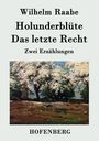 Wilhelm Raabe: Holunderblüte / Das letzte Recht, Buch