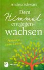 Andrea Schwarz: Dem Himmel entgegenwachsen, Buch