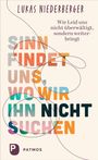 Lukas Niederberger: Sinn findet uns, wo wir ihn nicht suchen, Buch