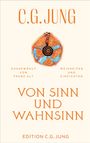C. G. Jung: Von Sinn und Wahnsinn, Buch