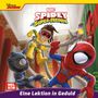 : Maxi-Mini 211: MARVEL Spidey und seine Super-Freunde: Eine Lektion in Geduld, Buch