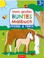 : Mein großes buntes Malbuch - Pferde und Ponys, Buch