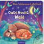 Maria Höck: Mein Schlummer-Licht-Buch: Gute Nacht, Wald, Buch